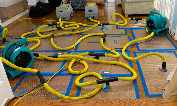 Professional Basement Flood Cleanup technician working in Trezevant, TN